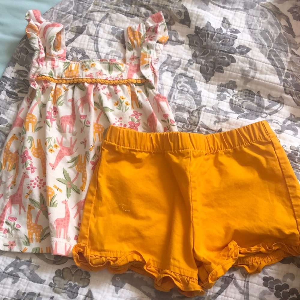 Giraffe Set